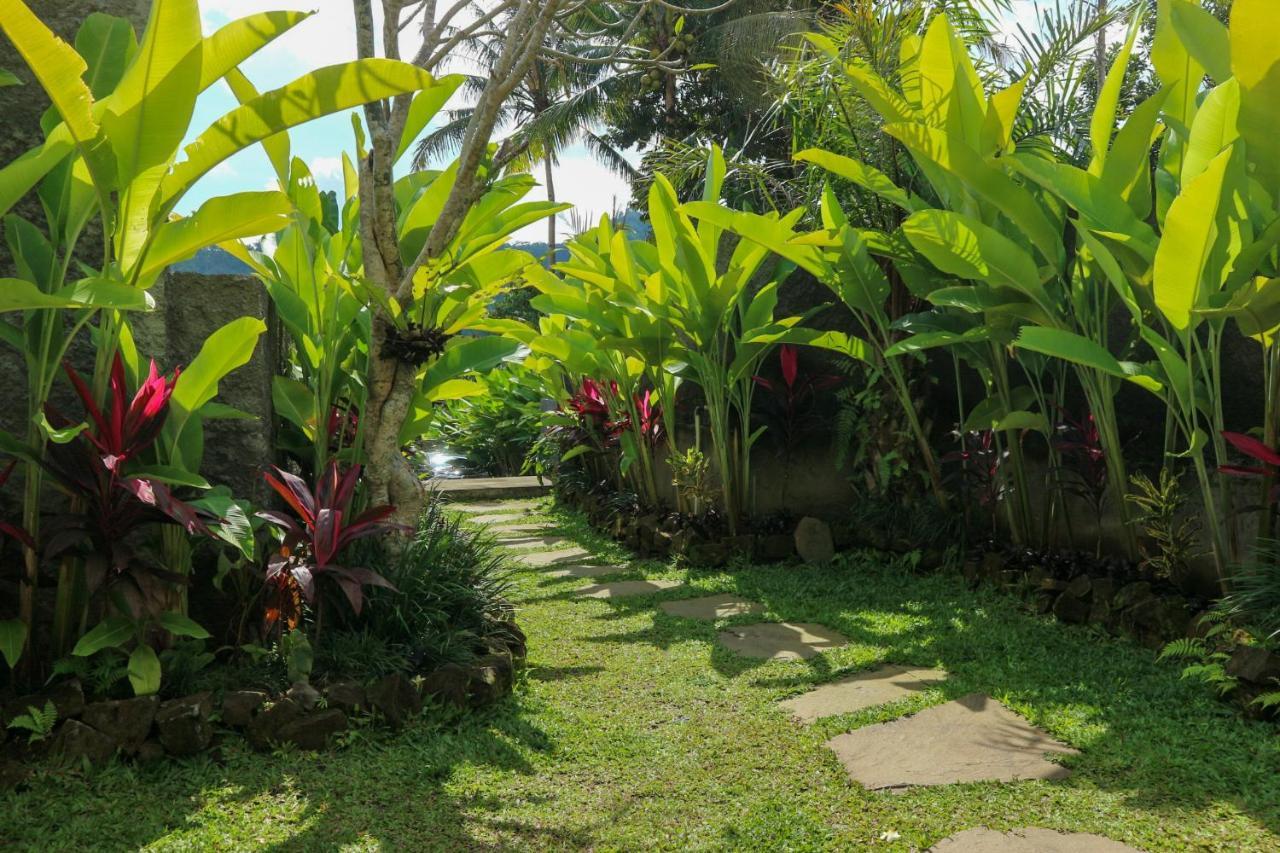 The Sidemen Villa المظهر الخارجي الصورة